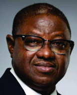 Dr. Abiodun Fatade, MBBSS, FWACS